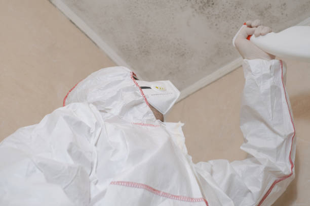 Best Industrial Mold Remediation in USA